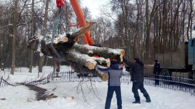 Поклон Тургеневскому дубу