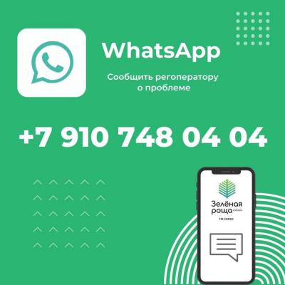 С «Зелёной рощей» можно общаться через мессенджер WhatsApp